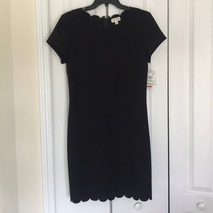 Maison Jules Women's Scalloped Sheath Dress Black Size 12